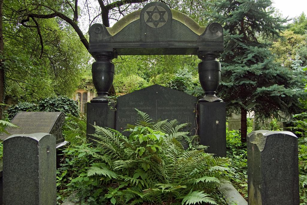 IMGP8757.jpg