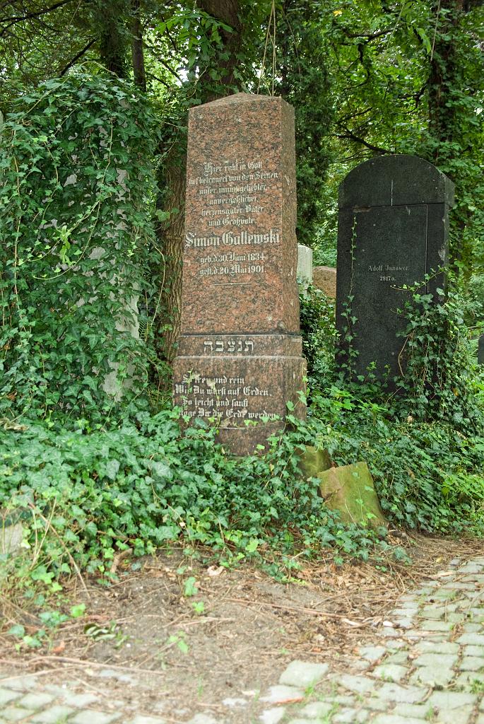 IMGP8763.jpg
