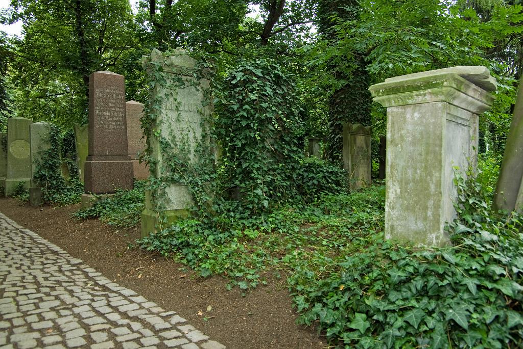 IMGP8768.jpg