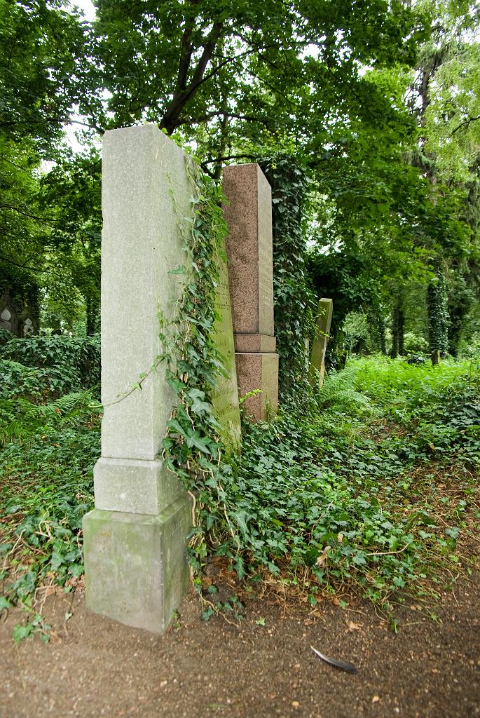 IMGP8769.jpg