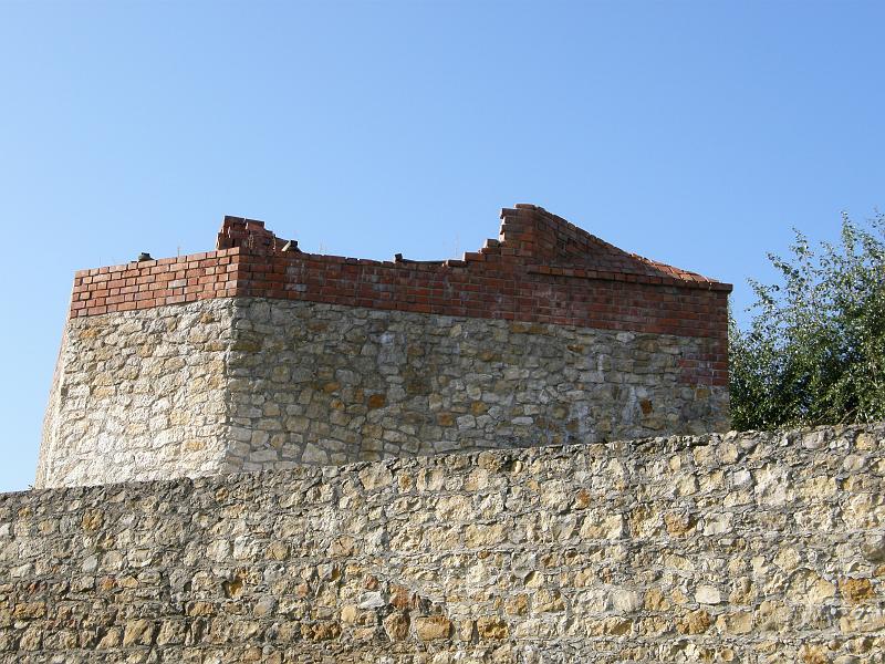 P8246275.JPG