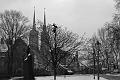 IMGP3645-001