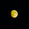 wro-13102008-04