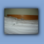 S6002183.jpg